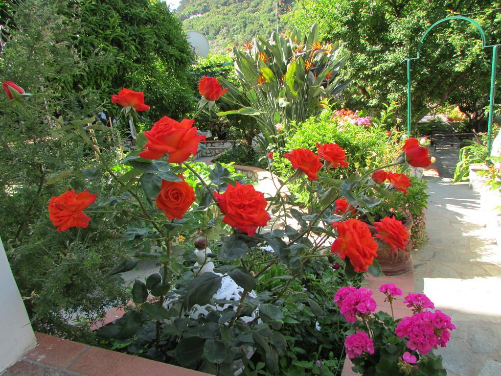 Camera King con Vista Giardino